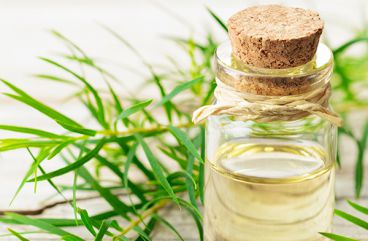 Tea Tree Oil